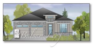 10-22-2025 Balsam Leaf Rendering