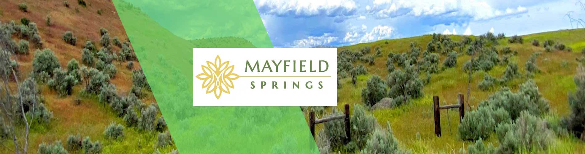 Mayfield Springs Community