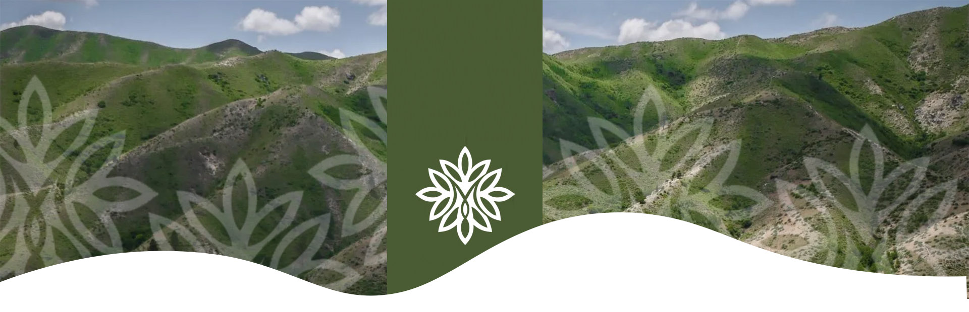 Mayfield Springs Image of mountains with Logo Icon