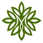 Mayfield Springs Green Icon